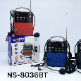 Loa Trợ Giảng NNS NS-8036BT (Kèm micro đeo tai)