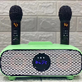 Loa Bluetooth Karaoke SDRD SD-316 (Kèm 2 Micro không dây)