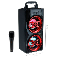 Loa Bluetooth Karaoke YD-801 (Kèm 1 Micro Có Dây)