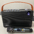 Loa Bluetooth Karaoke W-King H8 (60W, 1 Micro)