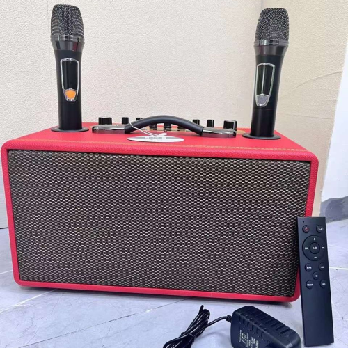 Loa Bluetooth Karaoke DPUS DP-S166 (Bass 6.5, 2 Micrro)