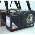 Loa Bluetooth FM/SD/USB NNS NS-S225S (Đèn Pin LED, Pin Năng Lượng Mặt Trời)