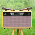 LOA XÁCH TAY NANOMAX PS-20 (780W, 2 MICRO)