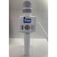 MICRO KÈM LOA BLUETOOTH KINYO H100